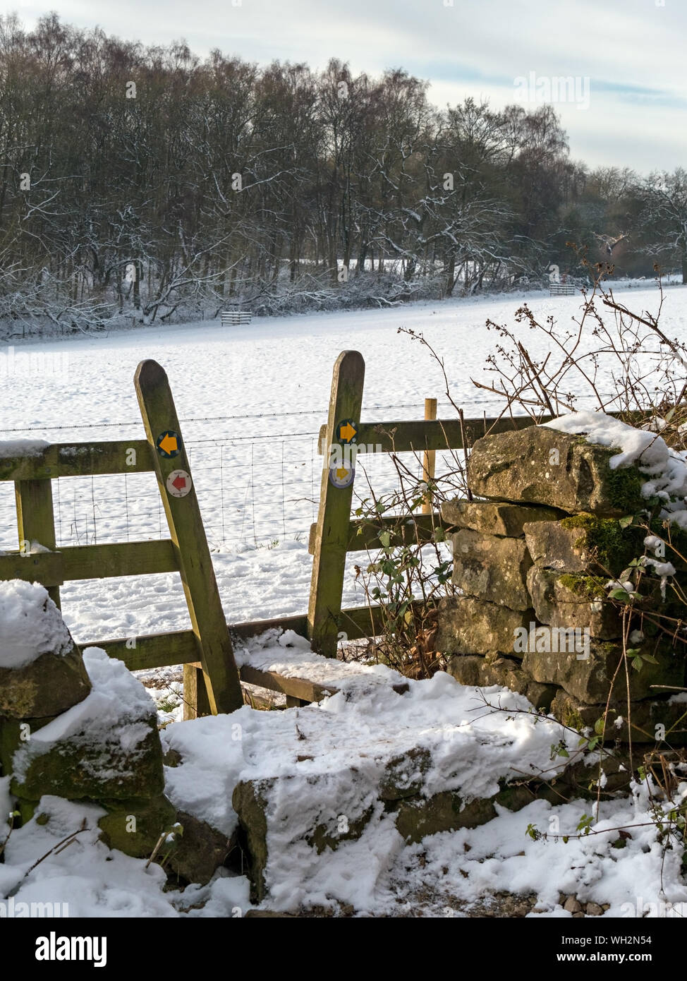 Sentiero in legno passo stile in inverno con coperte di neve e di campo percorso sulla Foresta Nazionale di modo, Derbyshire, Inghilterra, Regno Unito. Foto Stock