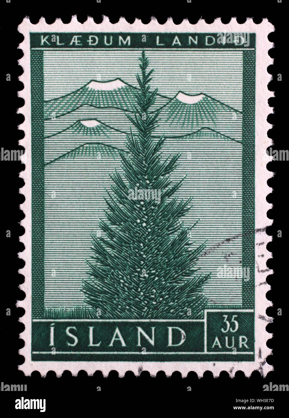 Timbro rilasciato in Islanda mostra europea di abete rosso (Picea abies), ri-foresta serie, 1957 circa. Foto Stock