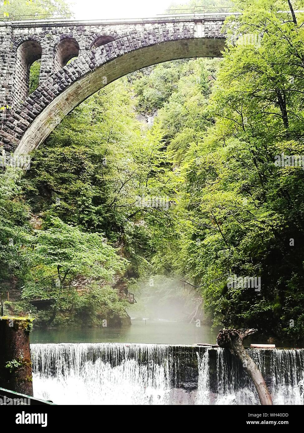 L'acqua che scorre nel mezzo di alberi sotto il ponte di Arco Foto Stock