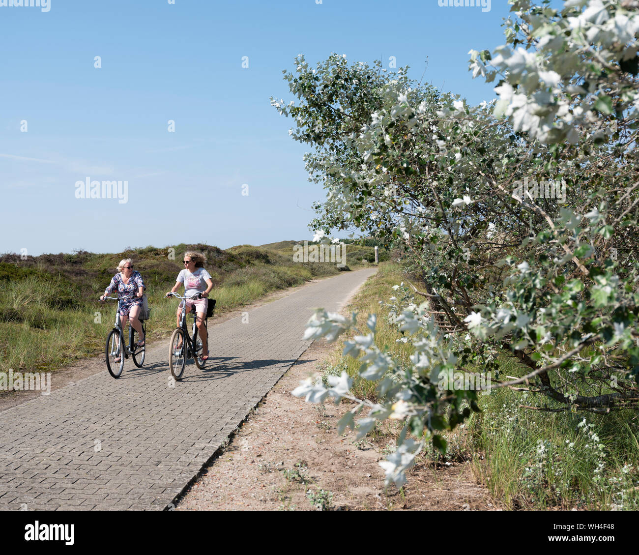 Le persone amano la natura da Bicicletta Equitazione sull'isola tedesca di norderney sulla soleggiata giornata estiva nel mese di agosto Foto Stock