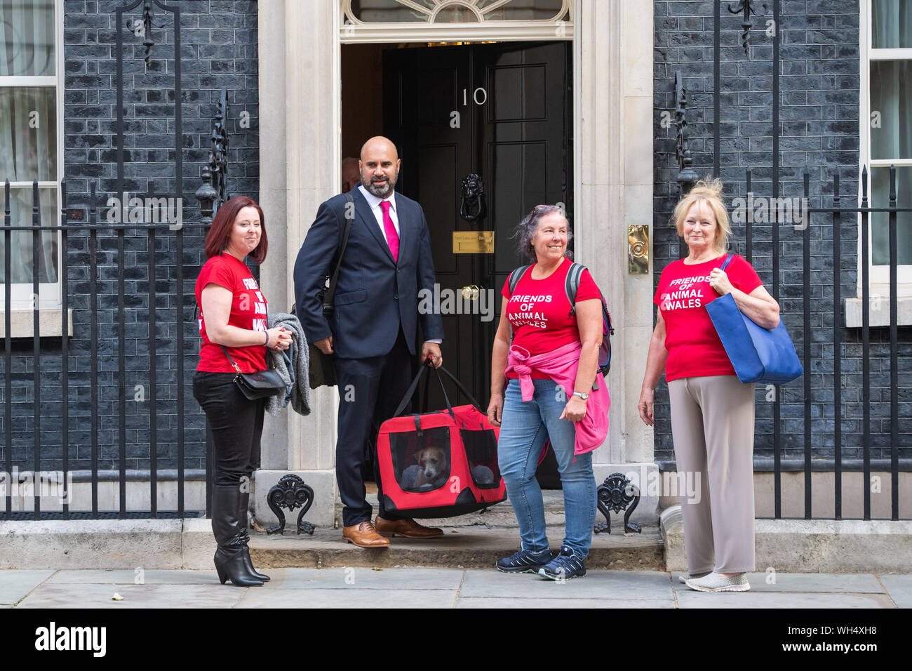 Eileen Jones (destra) che gestisce gli amici degli animali del Galles e colleghi di consegnare un 15-week-vecchio Jack Russell-cross cucciolo adottato dal Primo Ministro Boris Johnson e il suo partner Carrie Symonds a Downing Street, Londra. Foto Stock