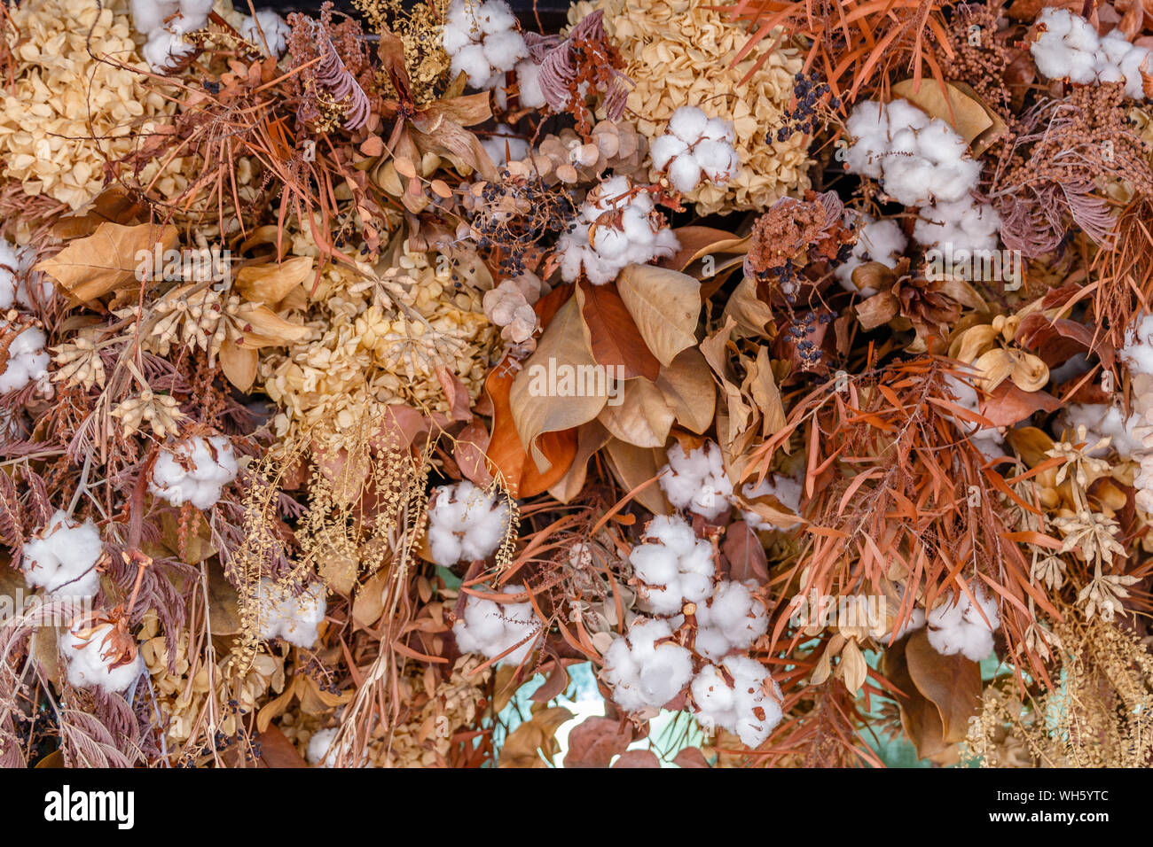 Composizione di fiori secchi con bolli di cotone a Pak Khlong Talat, famoso mercato dei fiori a Bangkok, Thailandia. Foto Stock