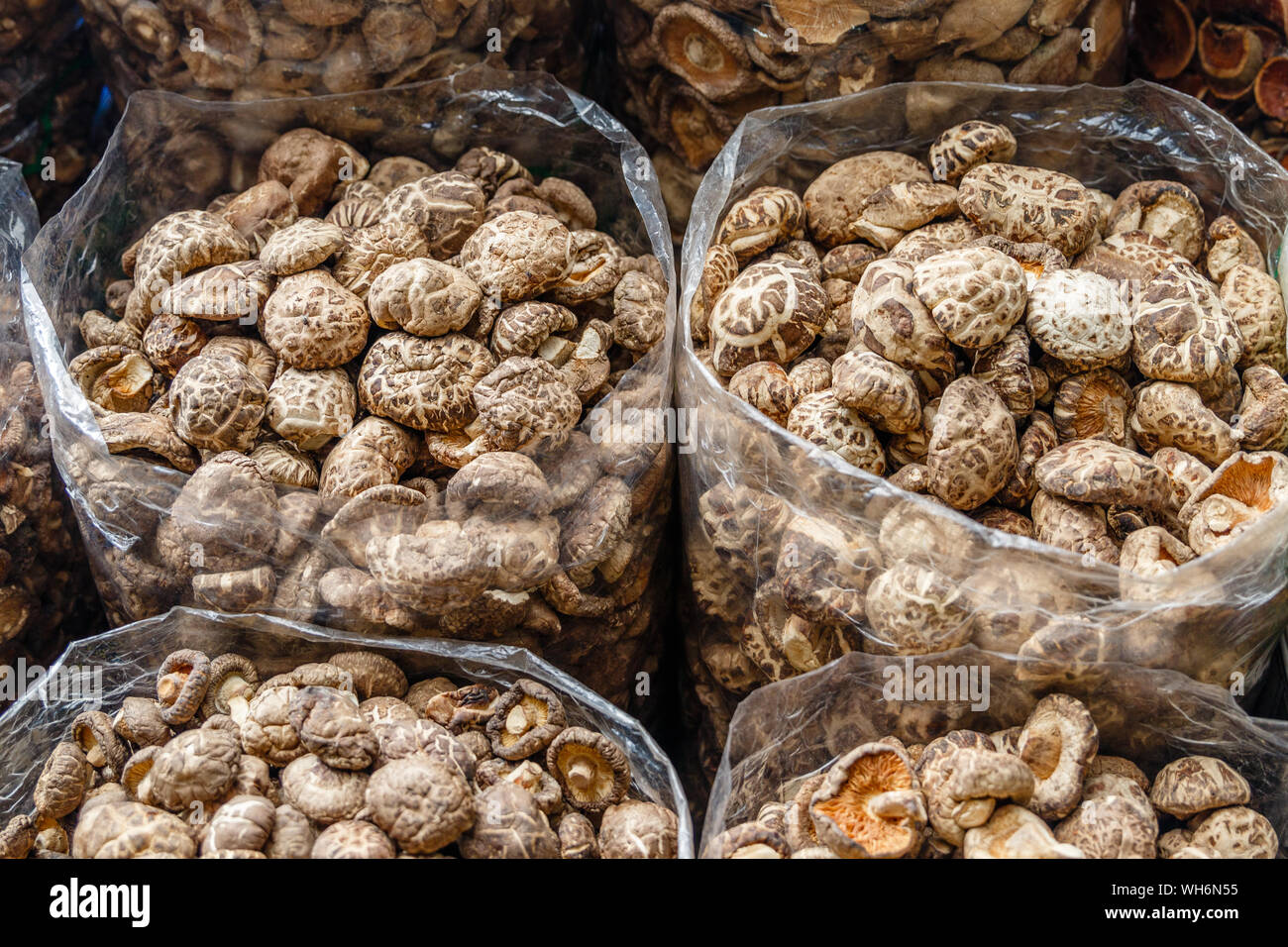 Essiccato funghi shiitake in sacchetti in corrispondenza di una strada del mercato di Bangkok Chinatown. Thailandia. Foto Stock