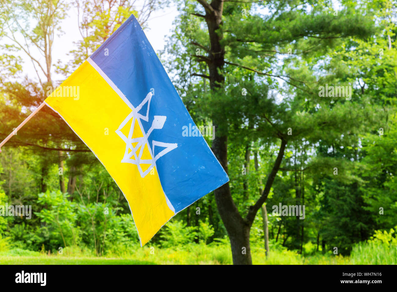 Nazionale simbolo patriottico. Blu-bandiera gialla dell'Ucraina all'esterno Foto Stock