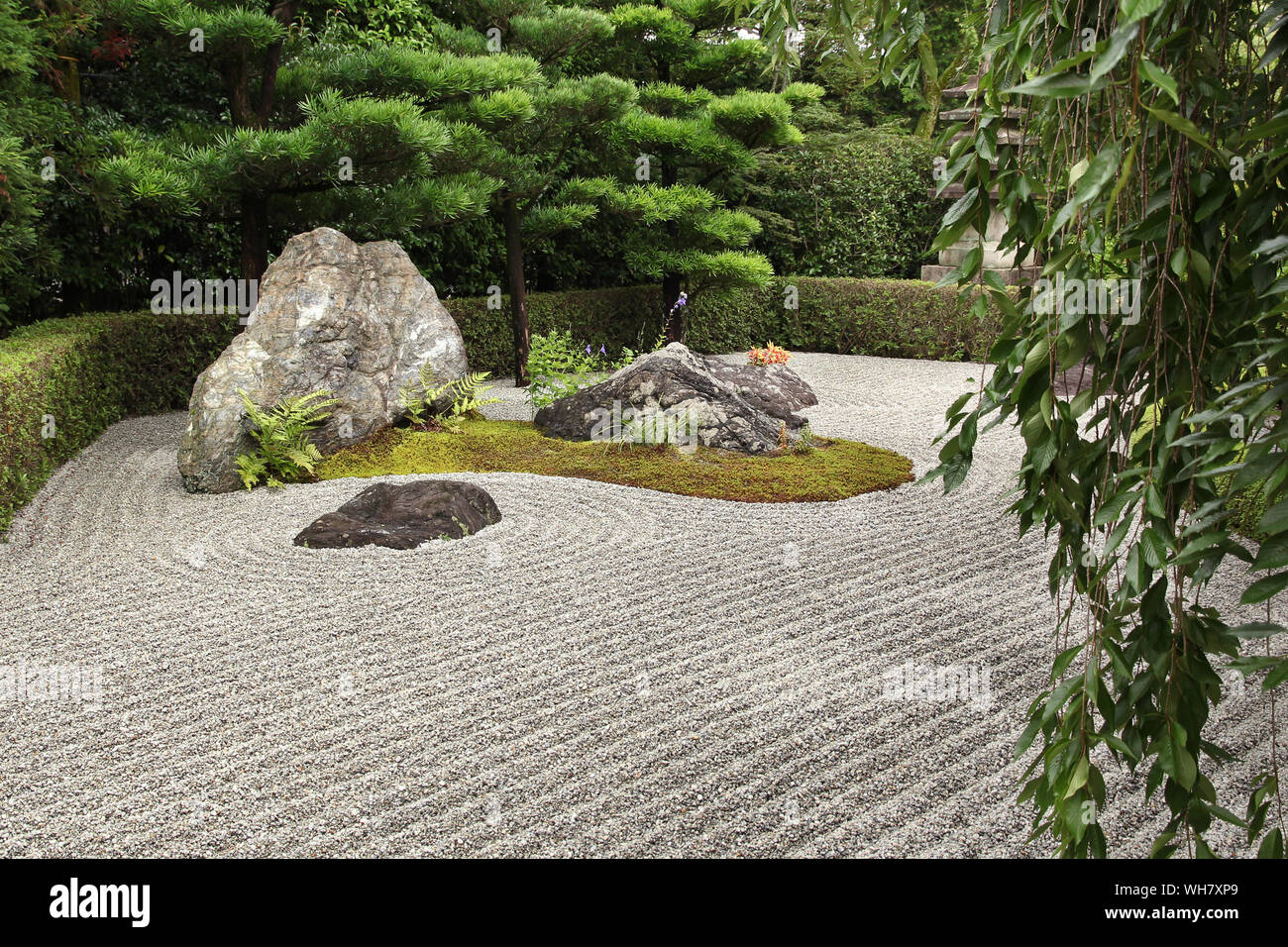 Giapponese giardino zen di Kyoto (Taizo-in) Foto Stock