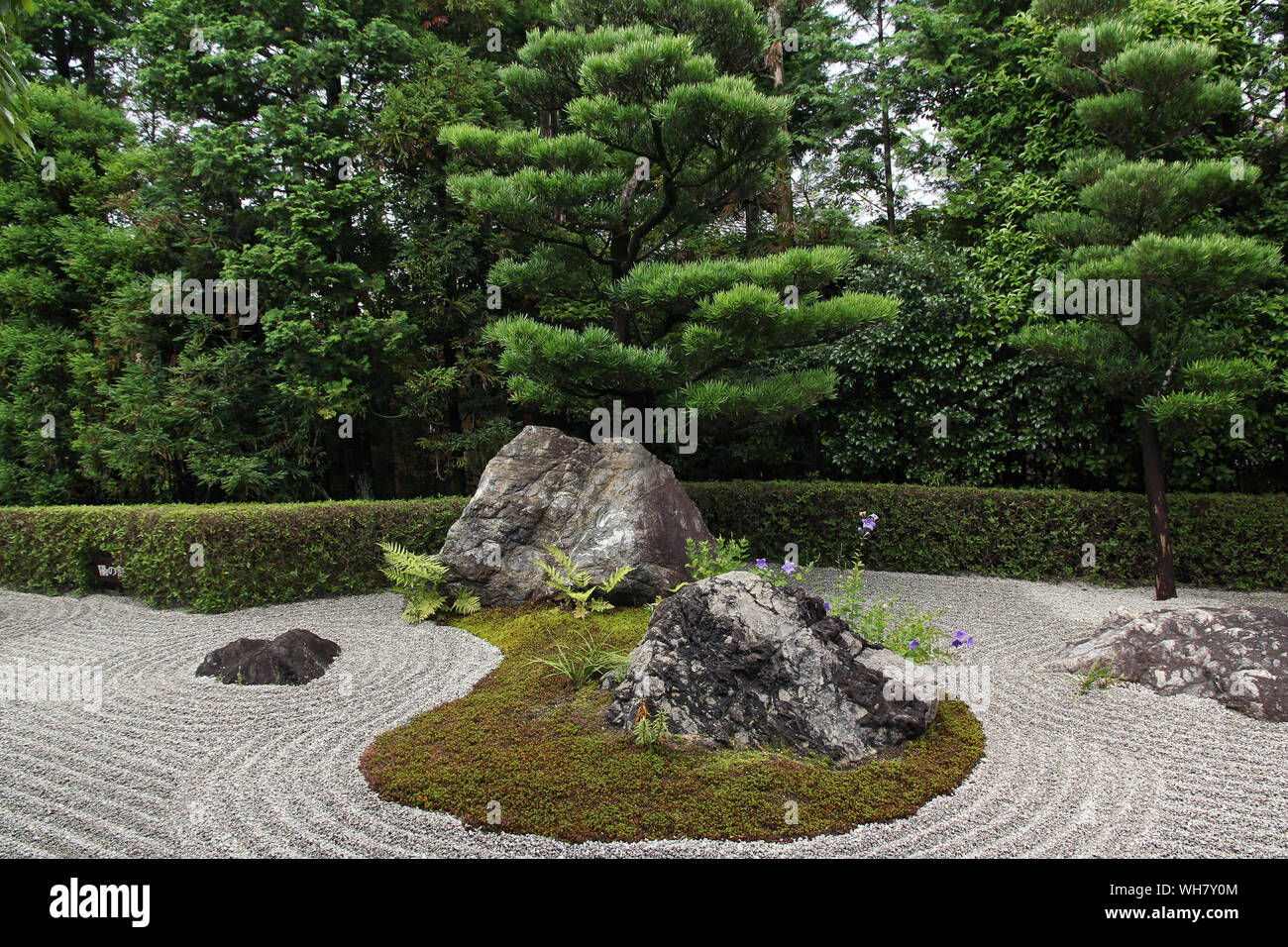 Giapponese giardino zen di Kyoto (Taizo-in) Foto Stock