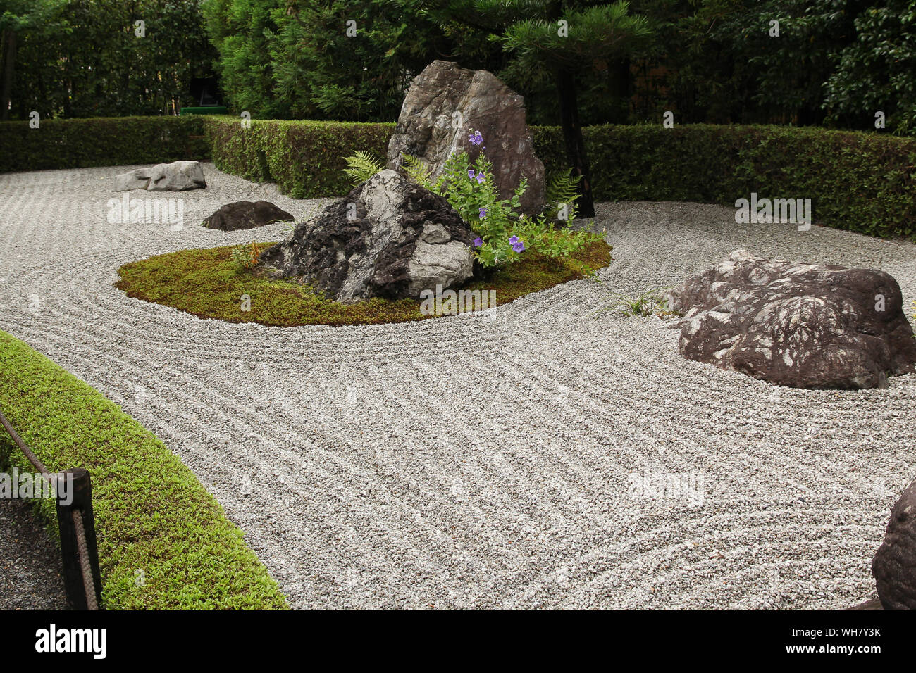 Giapponese giardino zen di Kyoto (Taizo-in) Foto Stock