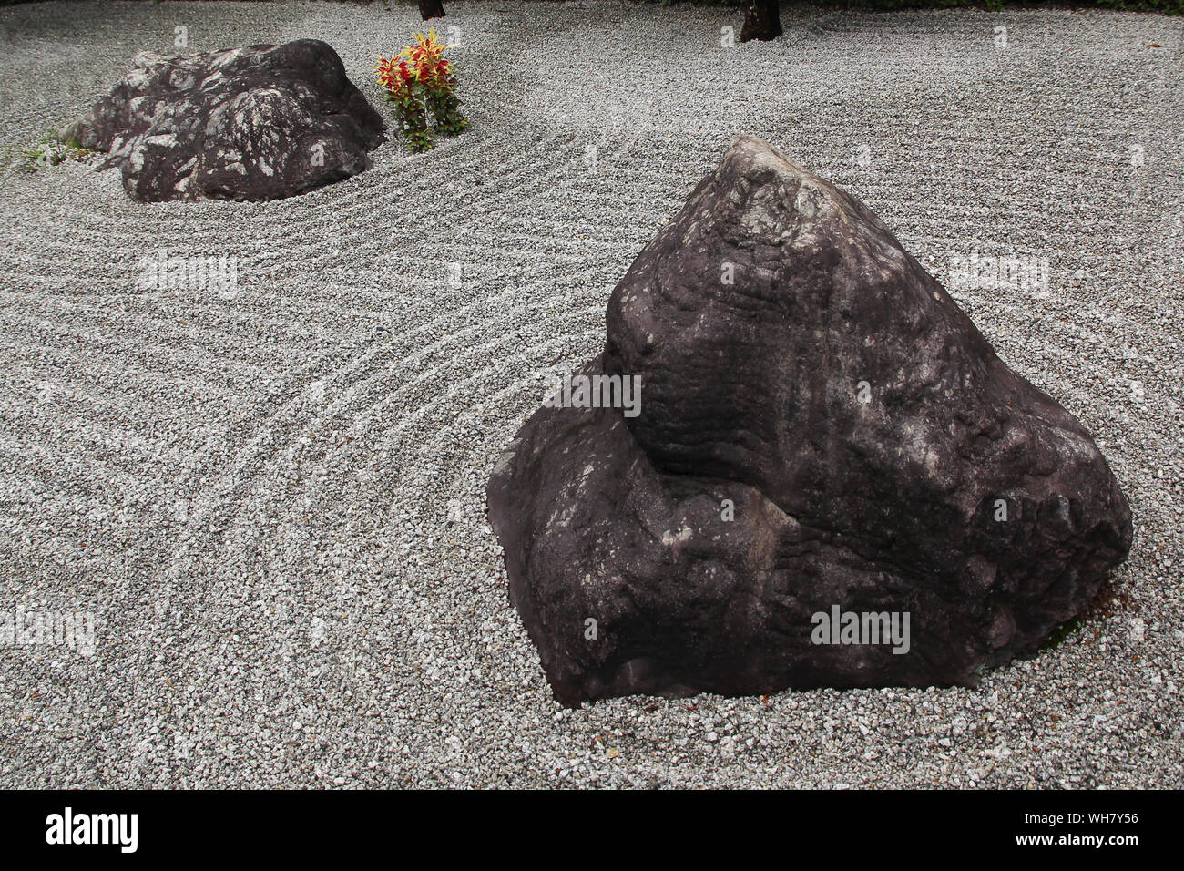 Giapponese giardino zen di Kyoto (Taizo-in) Foto Stock