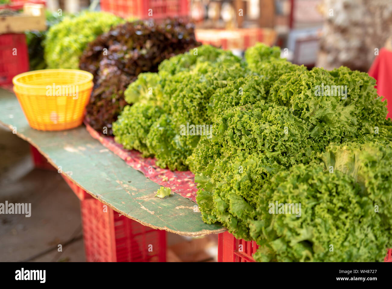 Lattuga verde sul mercato di strada en Provence Foto Stock