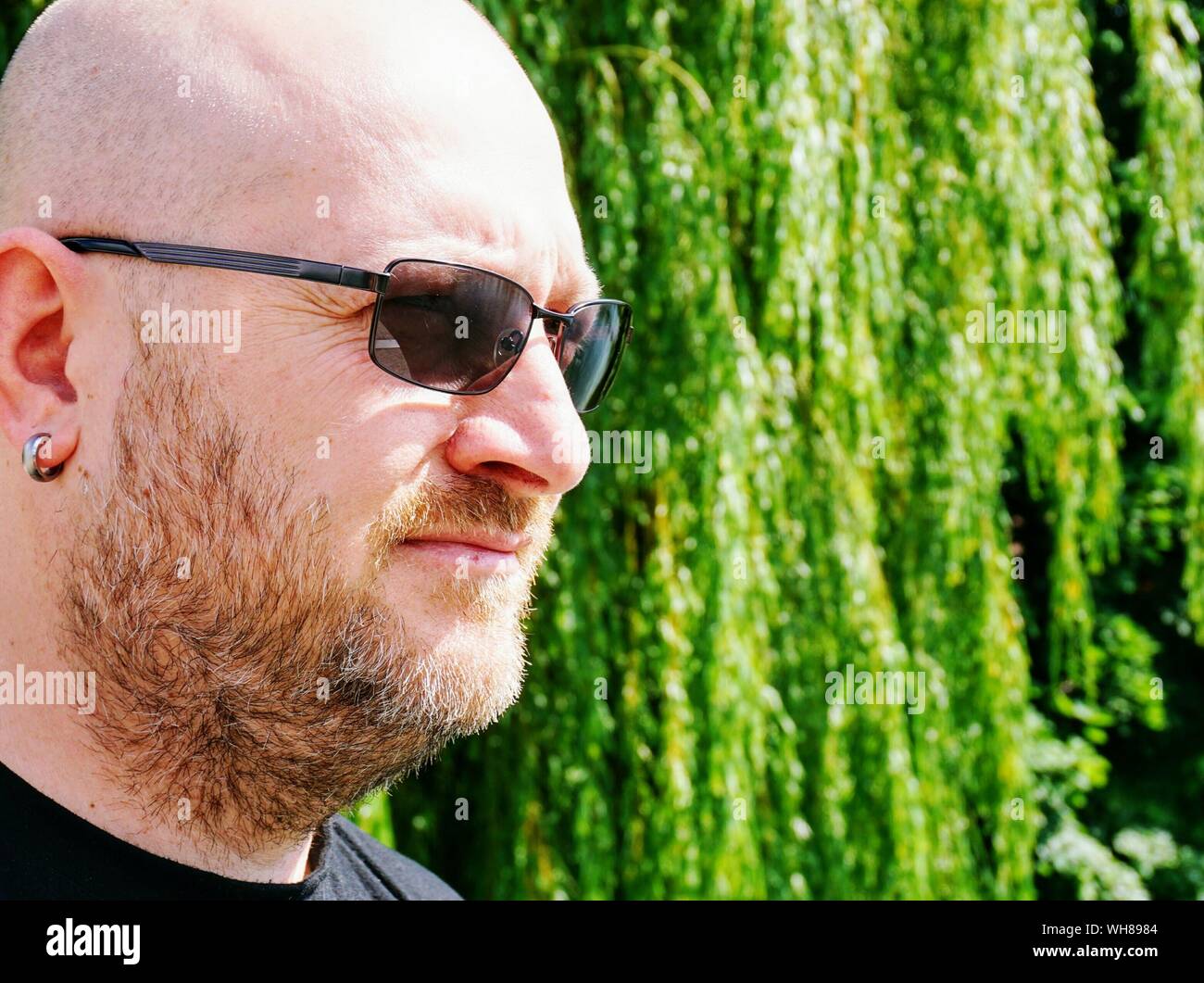 Close-up di uomo calvo indossando occhiali da sole contro gli alberi sulla  giornata di sole Foto stock - Alamy