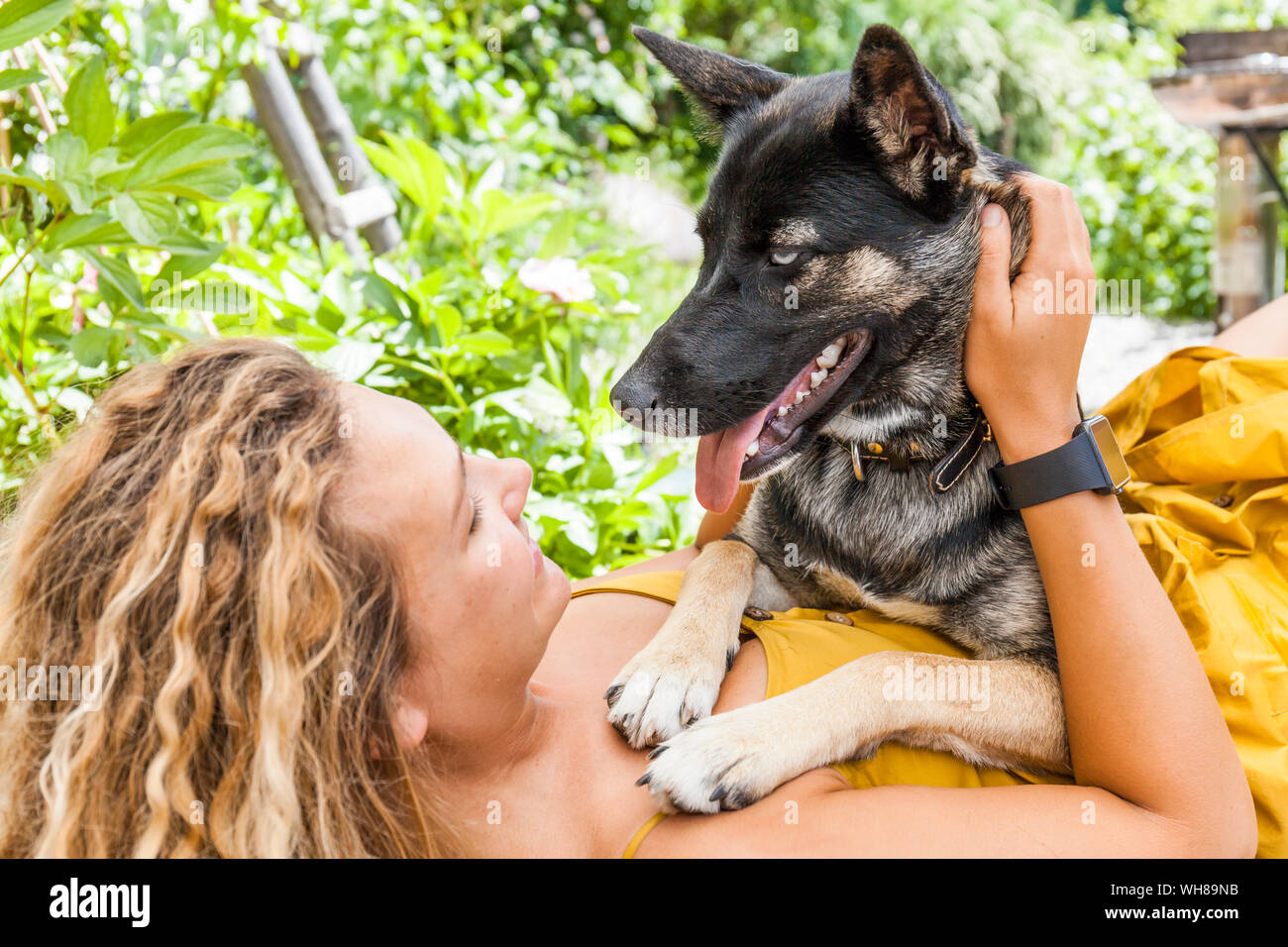 Husky pastore mongrel del cane e la sua padrona, faccia a faccia Foto Stock