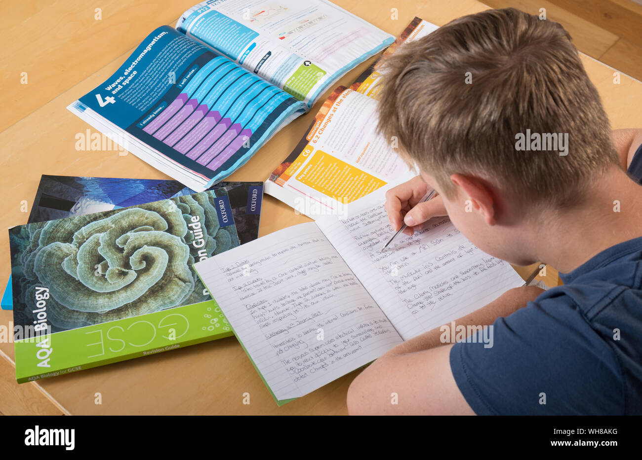 Un allievo scolastico che revisiona per i suoi esami GCSE, imparando a casa Foto Stock