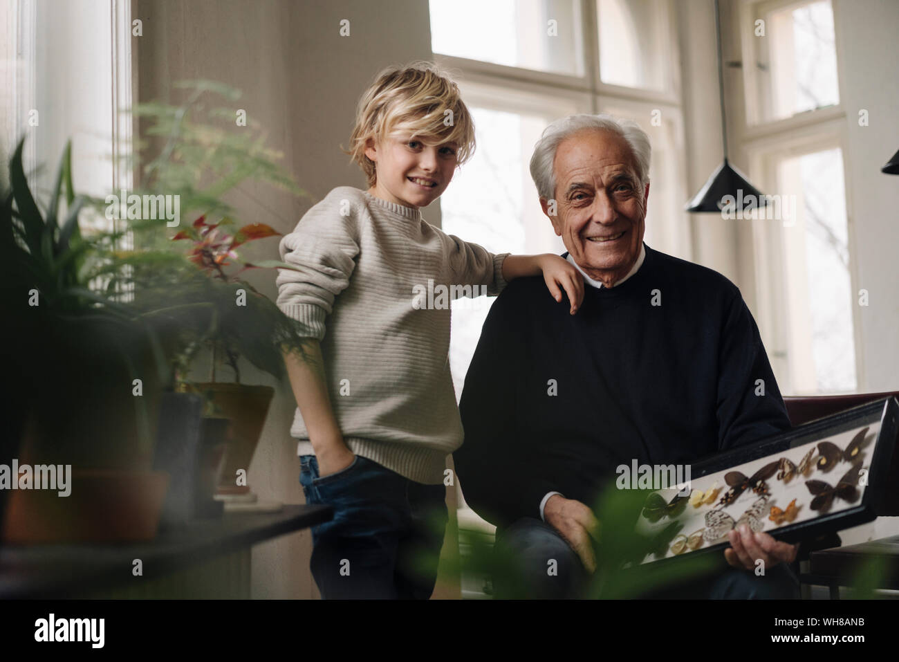 Nonno che mostra collezione di farfalle al nipote a casa Foto Stock