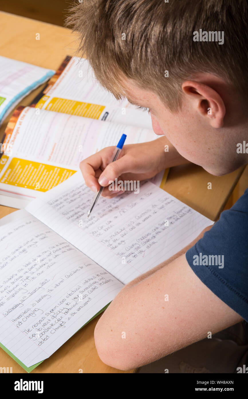 Un alunno di revisione per i suoi esami GCSE Foto Stock