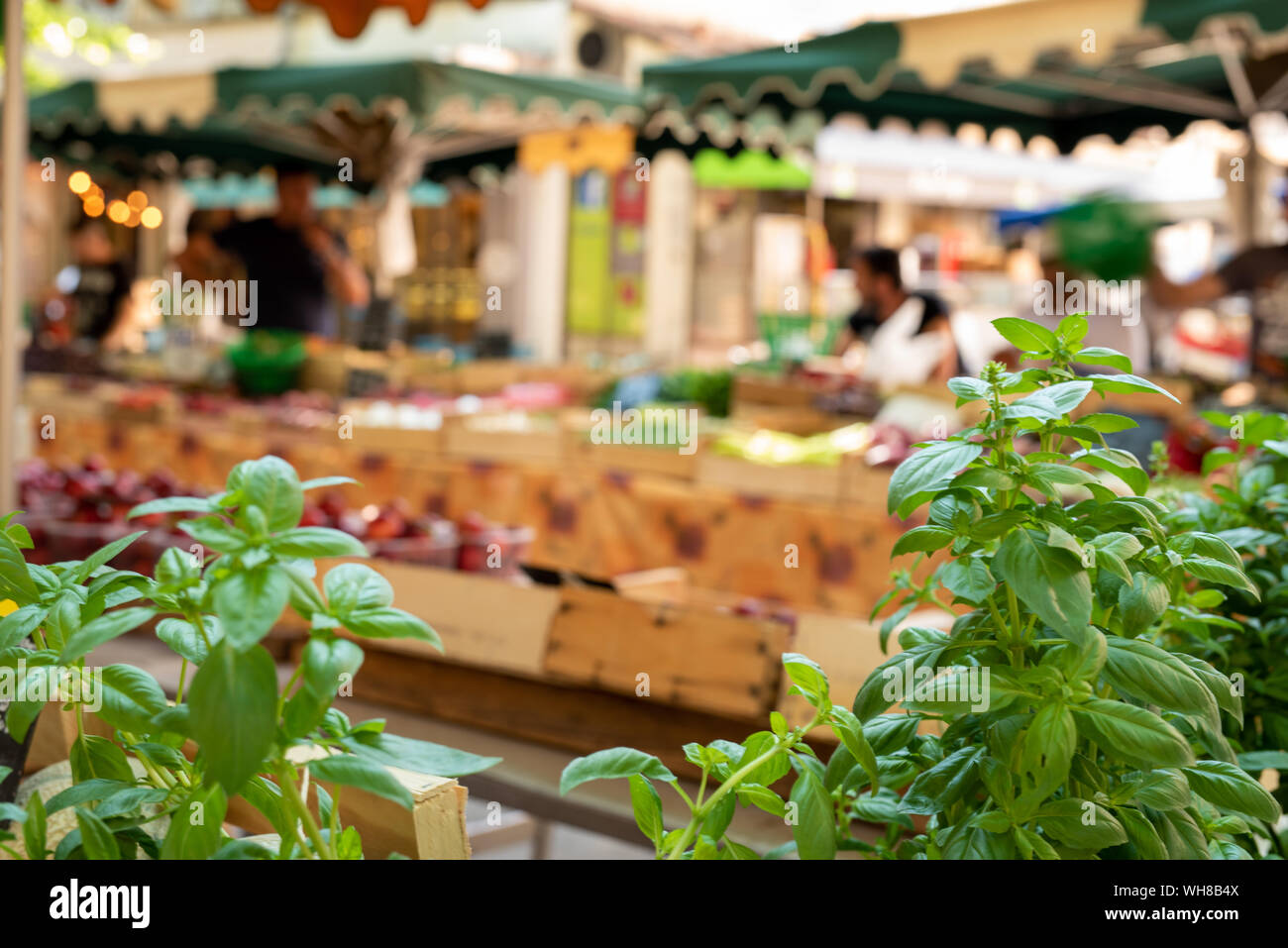 Foglie di basilico verde al mercato di strada provenzale Foto Stock
