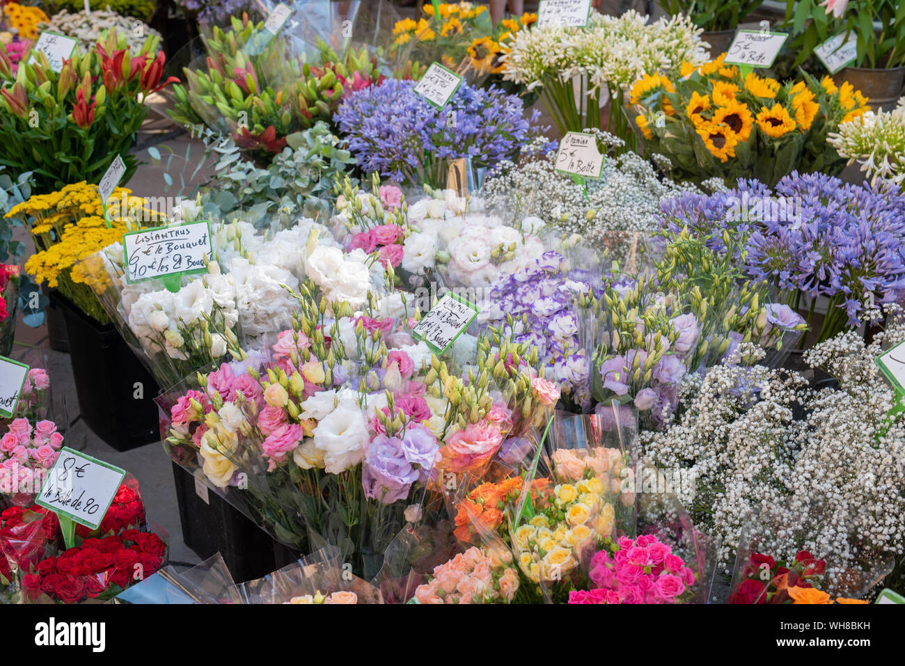 Bouquet di fiori sul mercato di strada dei fiori, Aix-en-Provence, Francia Foto Stock