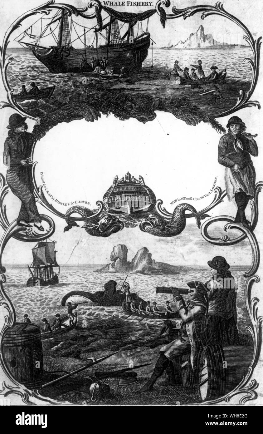La pesca della balena 1800. Dall'Antartide: l'ultimo continente da Ian Cameron, pagina 41. Foto Stock