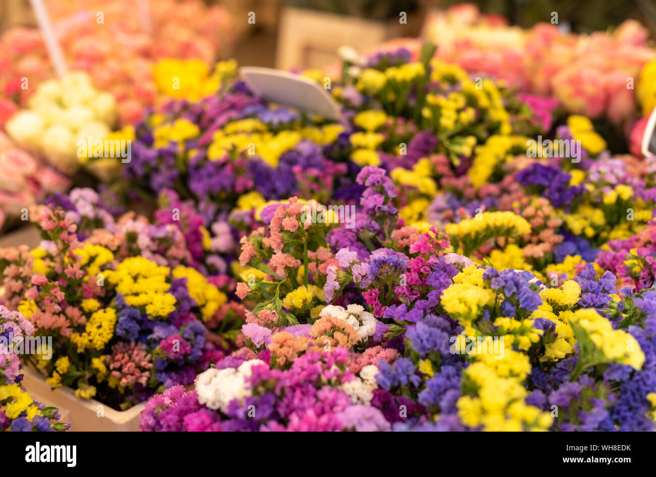 Colorato mercato dei fiori ad Aix-en-Provence Francia Foto Stock