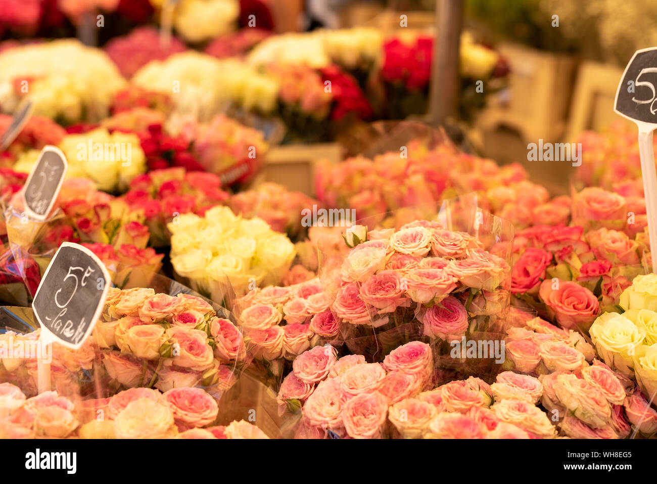 Mercato dei fiori ad Aix-en-Provence Francia Foto Stock