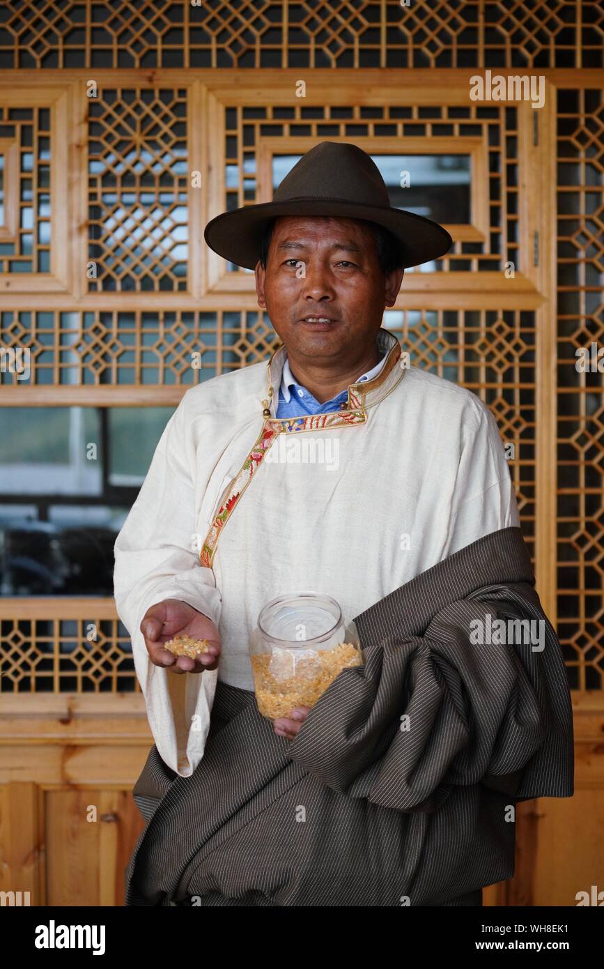 (190902) -- LANZHOU, Sett. 2, 2019 (Xinhua) -- un pastore mostra Qula a casa nella città Hezuo, Gannan tibetano prefettura autonoma nel nord-ovest della Cina di Provincia di Gansu, Agosto 27, 2019. Il residuo di yak latte dopo il ghee rendendo, chiamato 'Qula' in lingua tibetana, è stato trasformato in remunerativi prodotti negli ultimi anni che aiutano la gente del posto di aumentare il loro reddito e scuotete la povertà. Qula, che è stata a lungo utilizzata come snack giornaliero e foraggio per bestiame, valeva solo 1.2 yuan (circa 0,17 dollari USA) per chilogrammo. Ora, società leader del settore dei prodotti lattiero-caseari in Gannan comprare Qula dai pastori locali e di rendere i Foto Stock