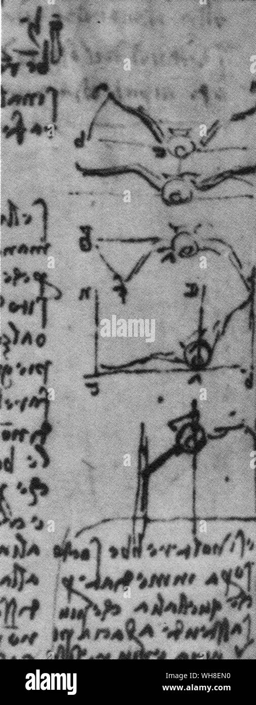 La telecamera è in grado di congelare l'ala-beat di un uccello ma Leonardo aveva per arrestare il movimento delle ali nella sua mente ed egli ha richiamato centinaia di volte le posizioni degli uccelli in volo." Un uccello fa lo stesso uso di ali e la coda in aria come un nuotatore non di braccia e gambe in acqua". Usando l'analogia di correnti di acqua e aria, egli dice con riferimento a tale disegno "se l'uccello mostrato....abbassa le sue ali, esso si fa più stabile all'aria e si appoggia con meno difficoltà....ma è più certo di non essere ribaltata nel mantenere le sue ali ad alta rispetto a tenerli bassa.' Leonardo da Foto Stock