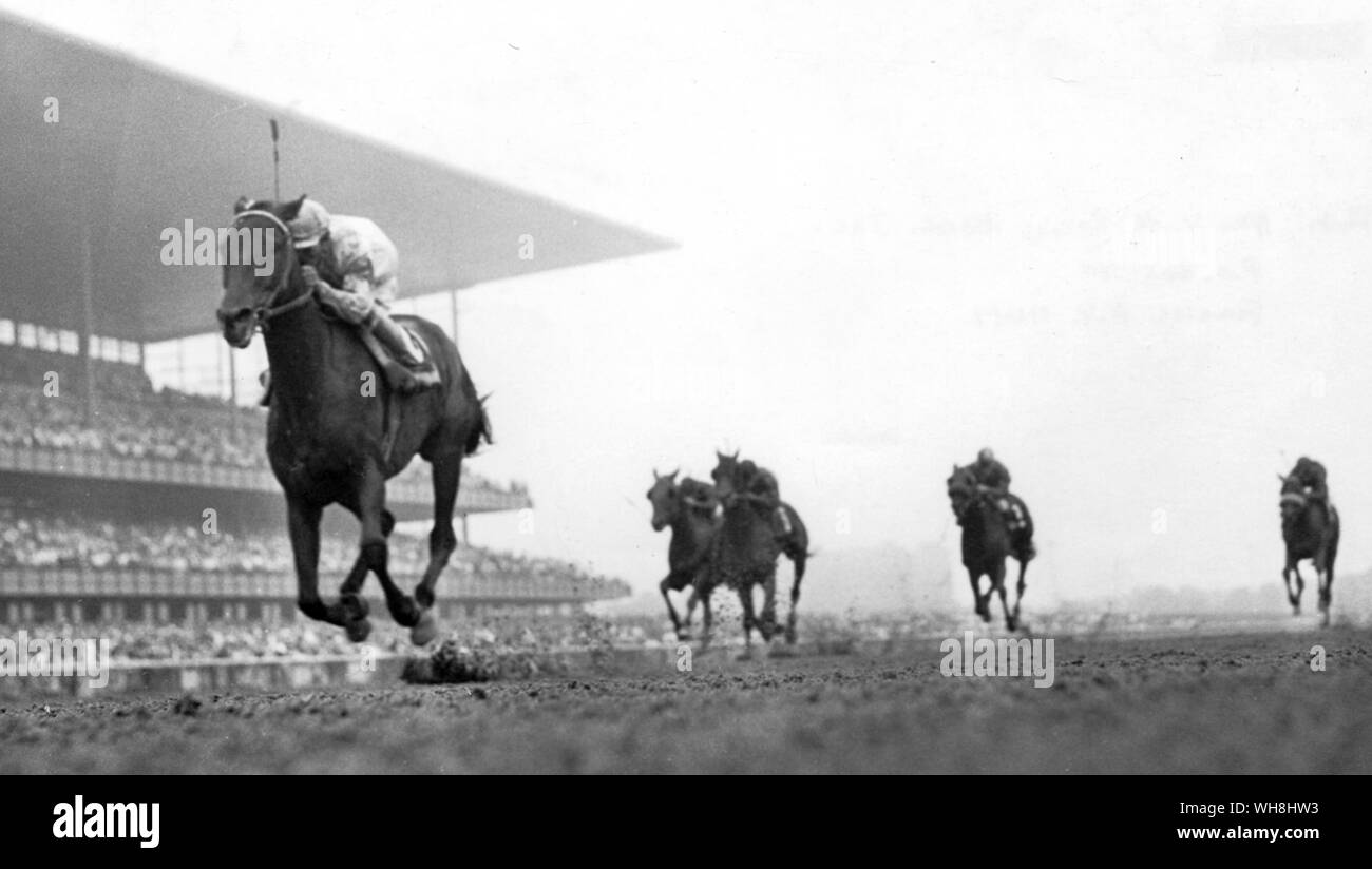 Kelso (1957) prima correva, e ha vinto, a Atlantic City il 4 settembre 1959, e corse di nuovo sulla stessa pista due volte nello stesso mese, essendo secondo entrambe le volte. A tre ha vinto otto dei nove, a quattro e sette dei nove, a cinque, sei dei dodici, a sei, nove dei dodici, a sette, cinque dei 11, a otto, tre dei sei. Un totale di 39 vittorie e 12 secondi a 63 inizia a. Come a tre e quattro-anno-vecchio aveva cavalcato da Eddie Arcaro, successivamente quasi sempre da I. Valenzuela, chi ha vinto 22 gare su di lui. La storia delle corse di cavalli da Roger Longrigg, pagina 285. Foto Stock
