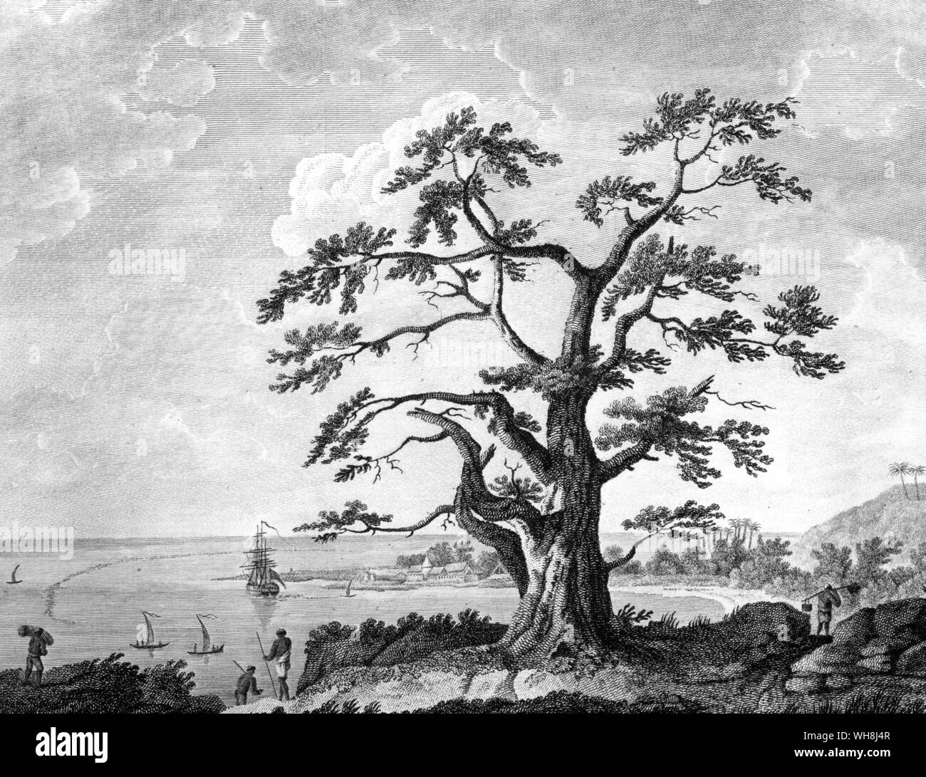 Matavai Bay, Tahiti, dove lo sforzo era ancorato nel 1769. Darwin e la Beagle da Alan Moorhead, pagina 212. Foto Stock