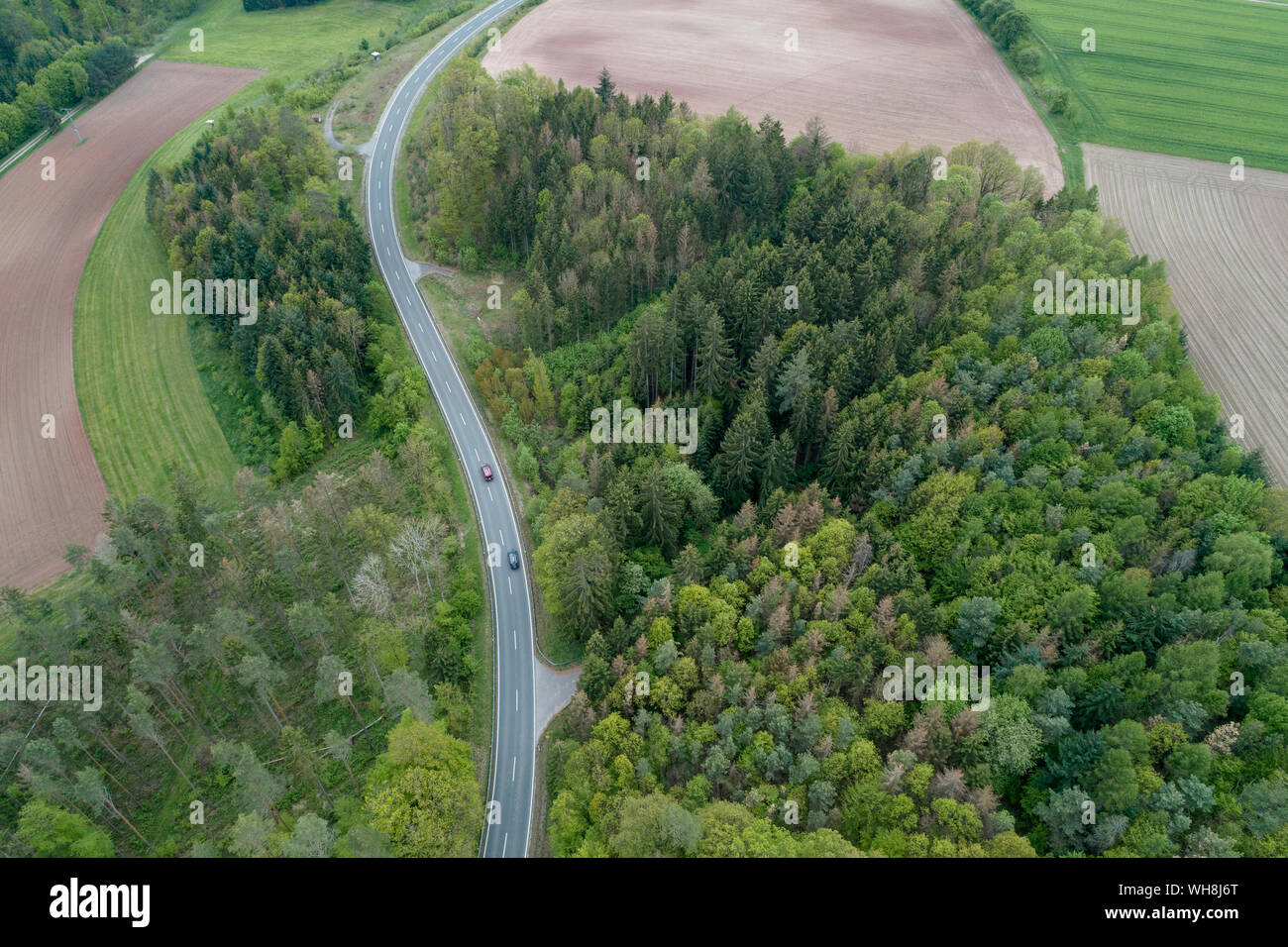 Vista aerea della strada rurale attraverso la foresta, Franconia, Baviera, Germania Foto Stock