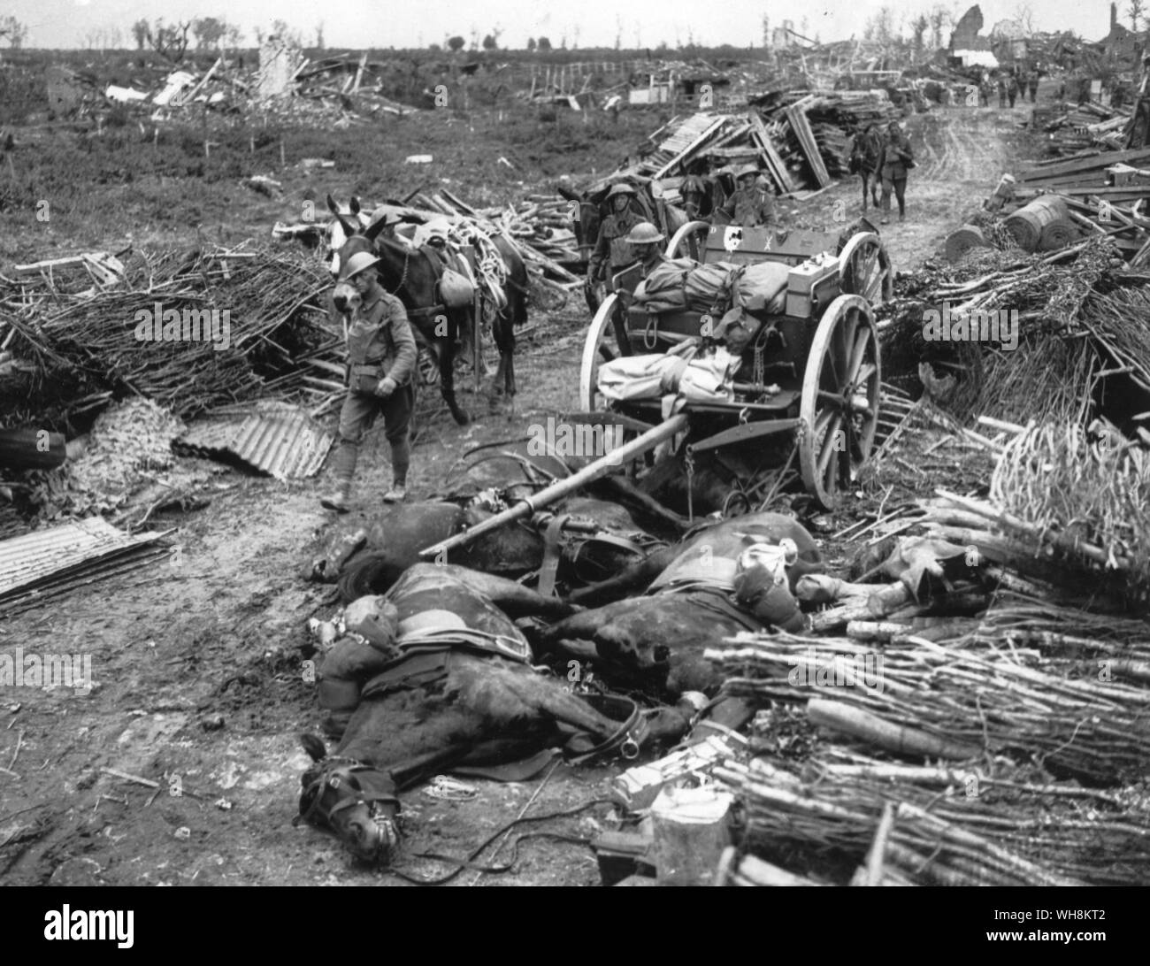 Battaglia di Pilkham Ridge. Pack muli passando un distrutto il legname di artiglieria e muli morti sulla strada a St Jean Divisione 36th luglio 1917 Foto Stock