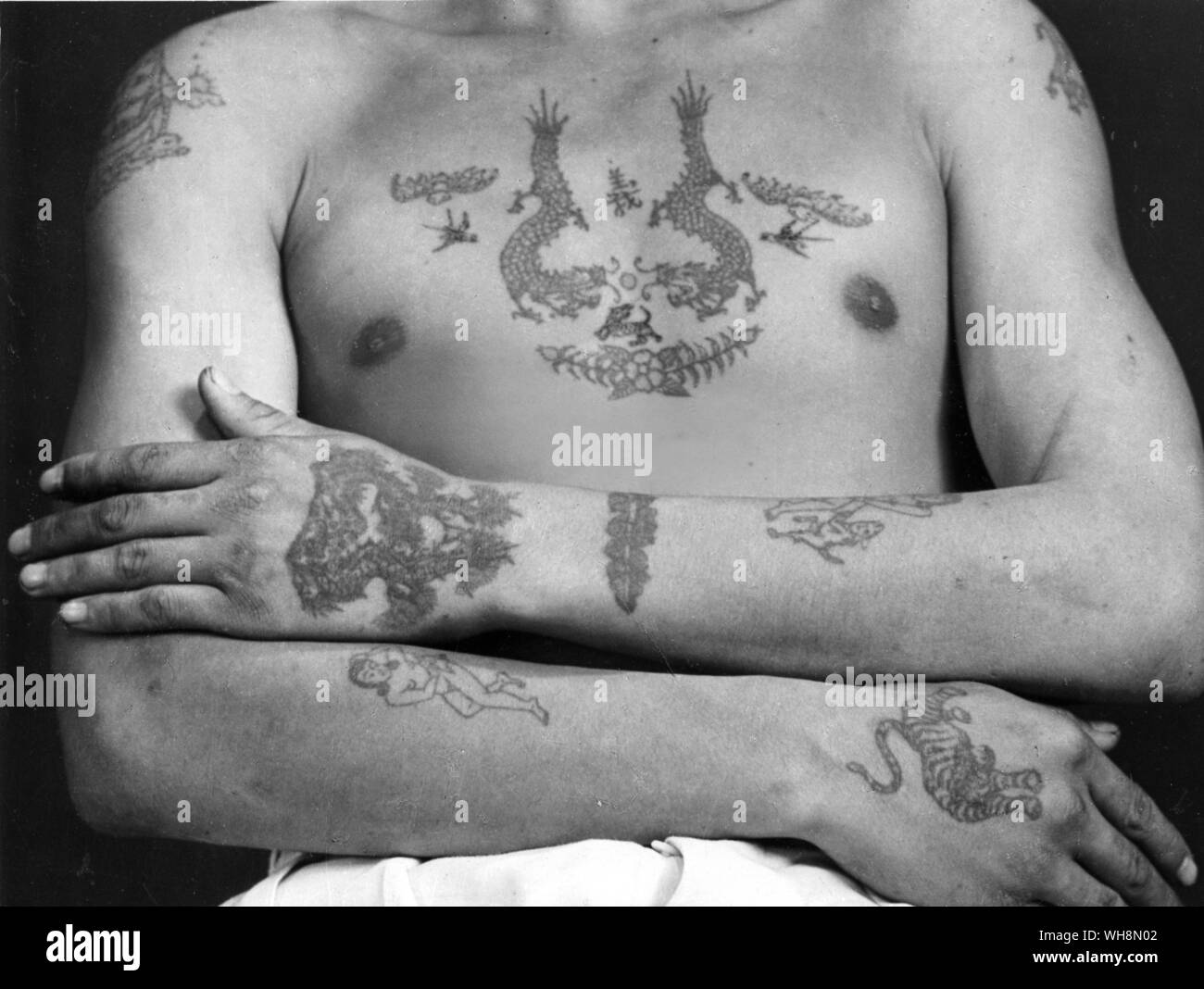 Il cinese società segrete tatuato insegne di 24 società segreta del gruppo. I due draghi in lotta per la perla rappresentano due dinastie in lotta per il trono di Cina Foto Stock