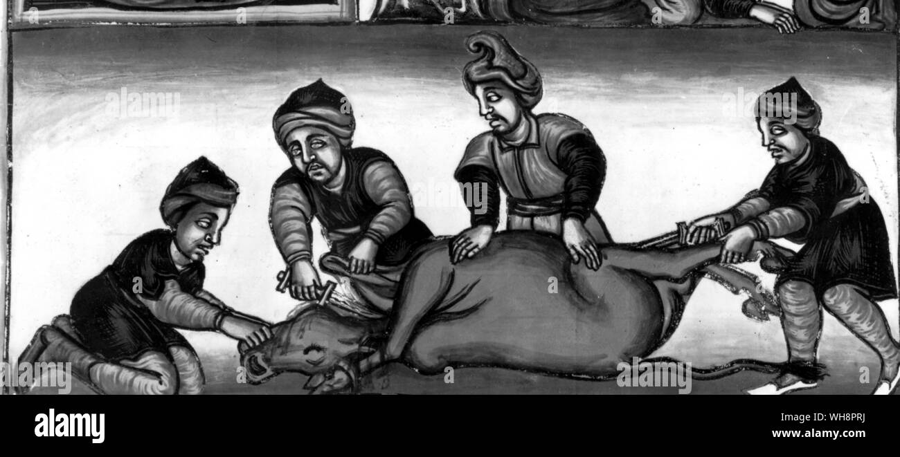 Etiopi uccidendo una mucca. Da un eithteenth-secolo manoscritto etiope Foto Stock