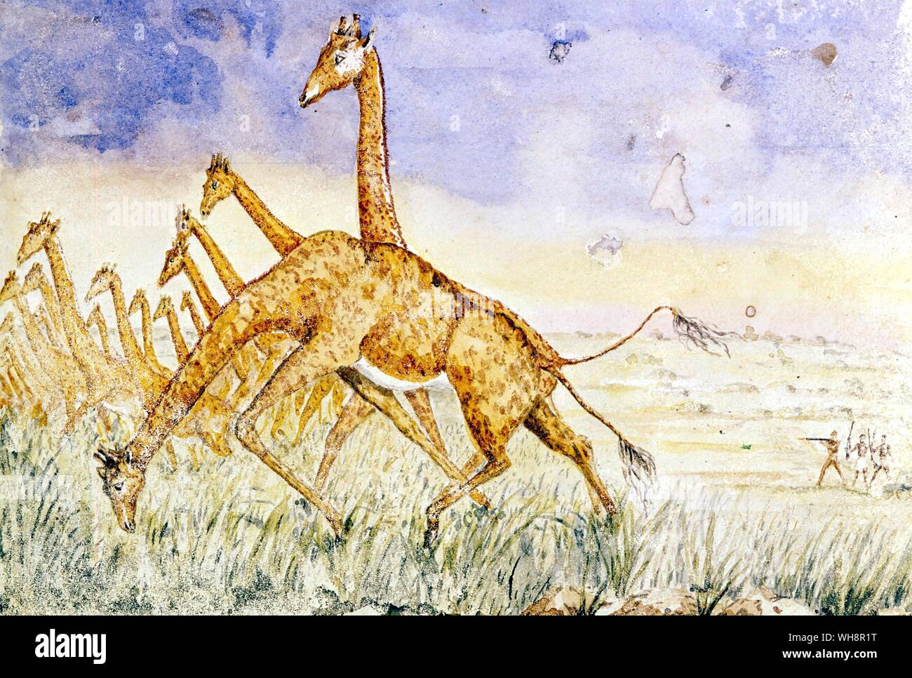 Dettaglio dall'esercito francese a Syene (aswan). La pittura di Jean Charles Tardieu. Foto Stock