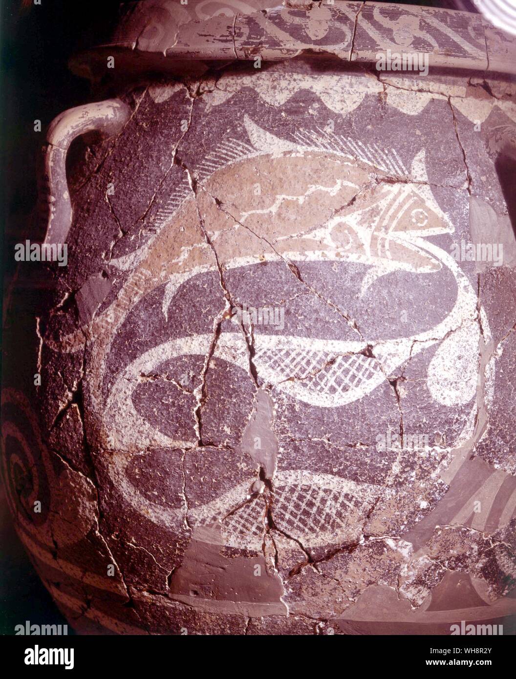 Dettaglio di pesce su un vasetto di storage da Festo, XVIII secolo A.C. Foto Stock