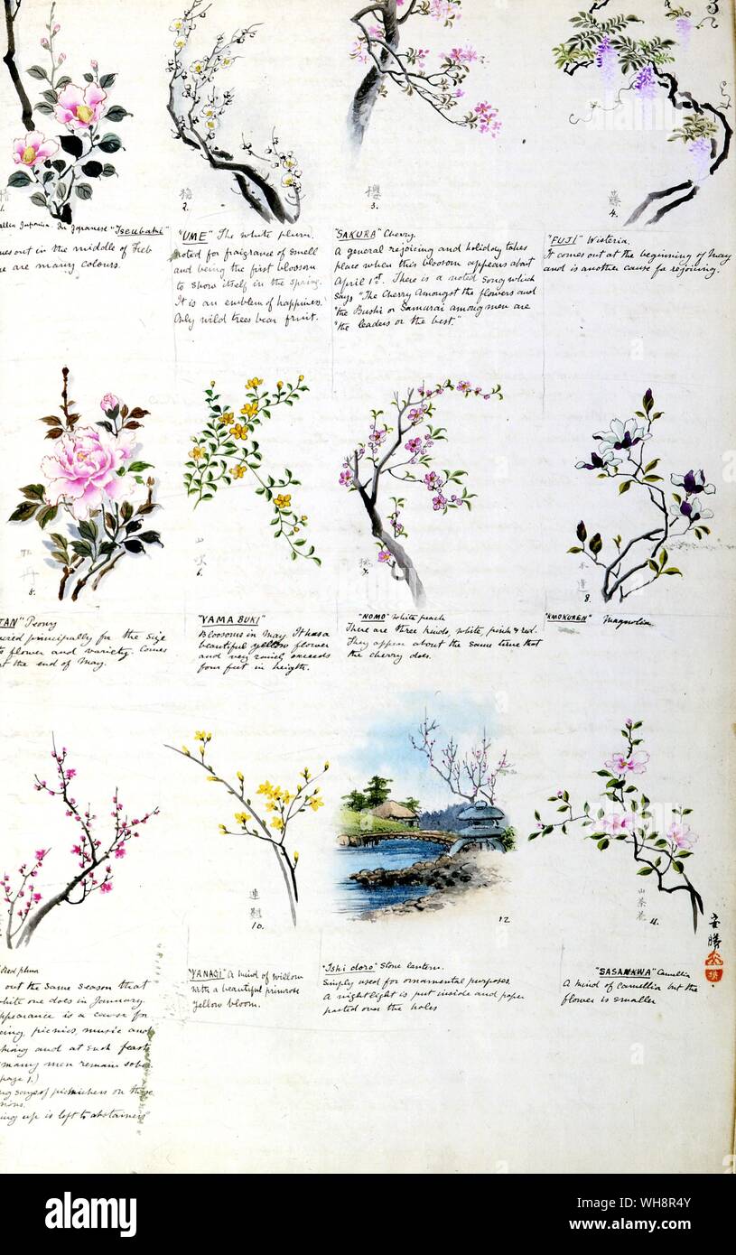 Illustrazioni di fiori giapponese e una pietra ornamentale lanterna per tenere una luce notturna. Foto Stock