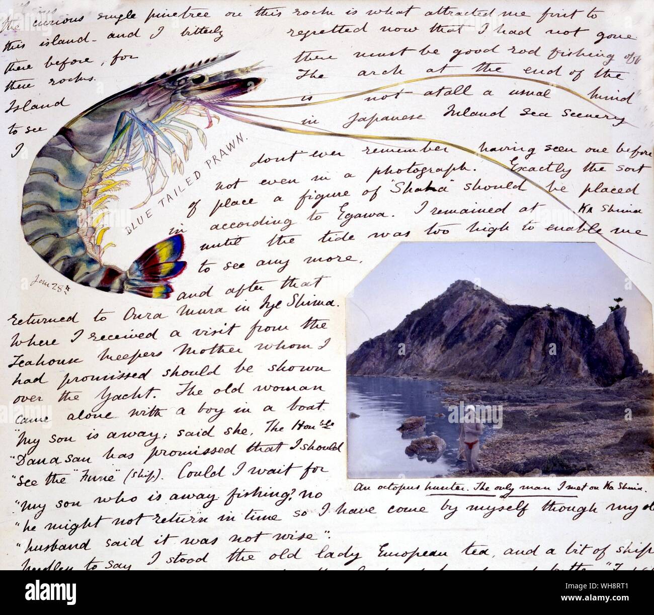 Voce del diario di Richard Gordon-Smith che mostra le immagini di un blu coda di gamberi e un cacciatore di polpo. 1904 Foto Stock