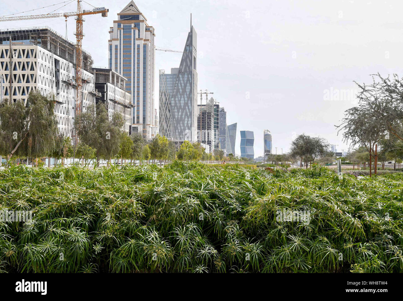 Doha. Il 27 agosto, 2019. Foto scattata su agosto 27, 2019 mostra una vista del nuovo sviluppo Lusail city, 20 chilometri a nord di Doha, capitale del Qatar. Il paese sta facendo sforzi per promuovere il verde il concetto di sviluppo nella sua pianificazione urbana e di costruzione. Credito: Nikku/Xinhua Foto Stock