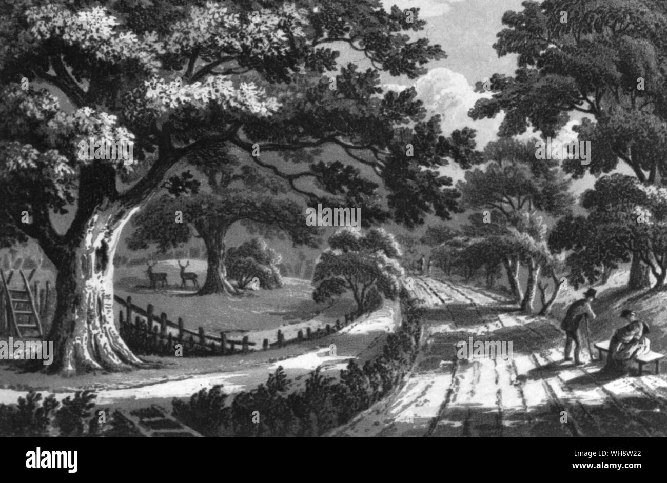 Frammenti di teoria e pratica di giardinaggio 1816 Vicolo del paese Foto Stock