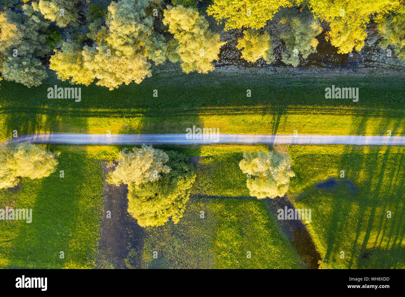 I campi e i prati presso il fiume Isar estuario vicino a Deggendorf, Bassa Baviera, Germania Foto Stock
