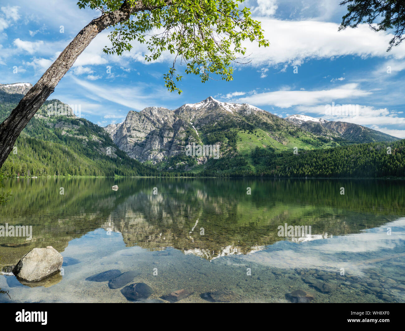 Montagne innevate si riflette nelle calme acque del lago Phelps, Grand Teton National Park, Wyoming negli Stati Uniti d'America, America del Nord Foto Stock