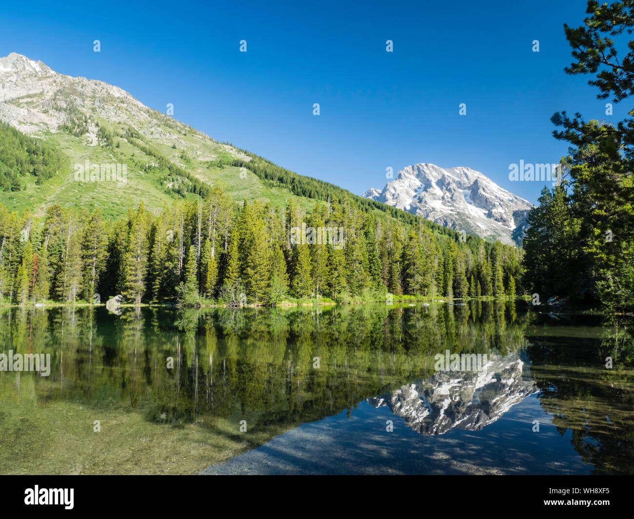 Montagne innevate si riflette nelle calme acque del lago di stringa, Grand Teton National Park, Wyoming negli Stati Uniti d'America, America del Nord Foto Stock