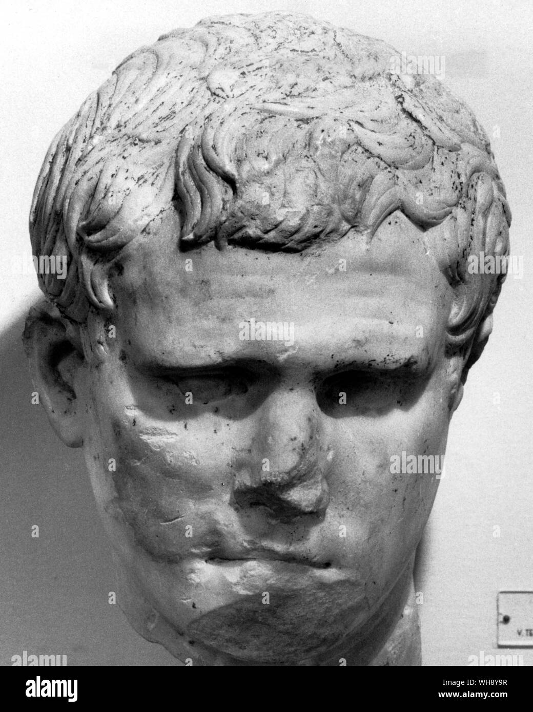Testa di Agrippa.. Foto Stock