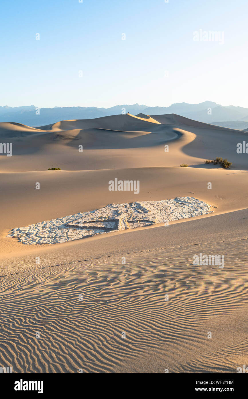 Mesquite flat dune di sabbia nel Parco Nazionale della Valle della Morte, California, Stati Uniti d'America, America del Nord Foto Stock