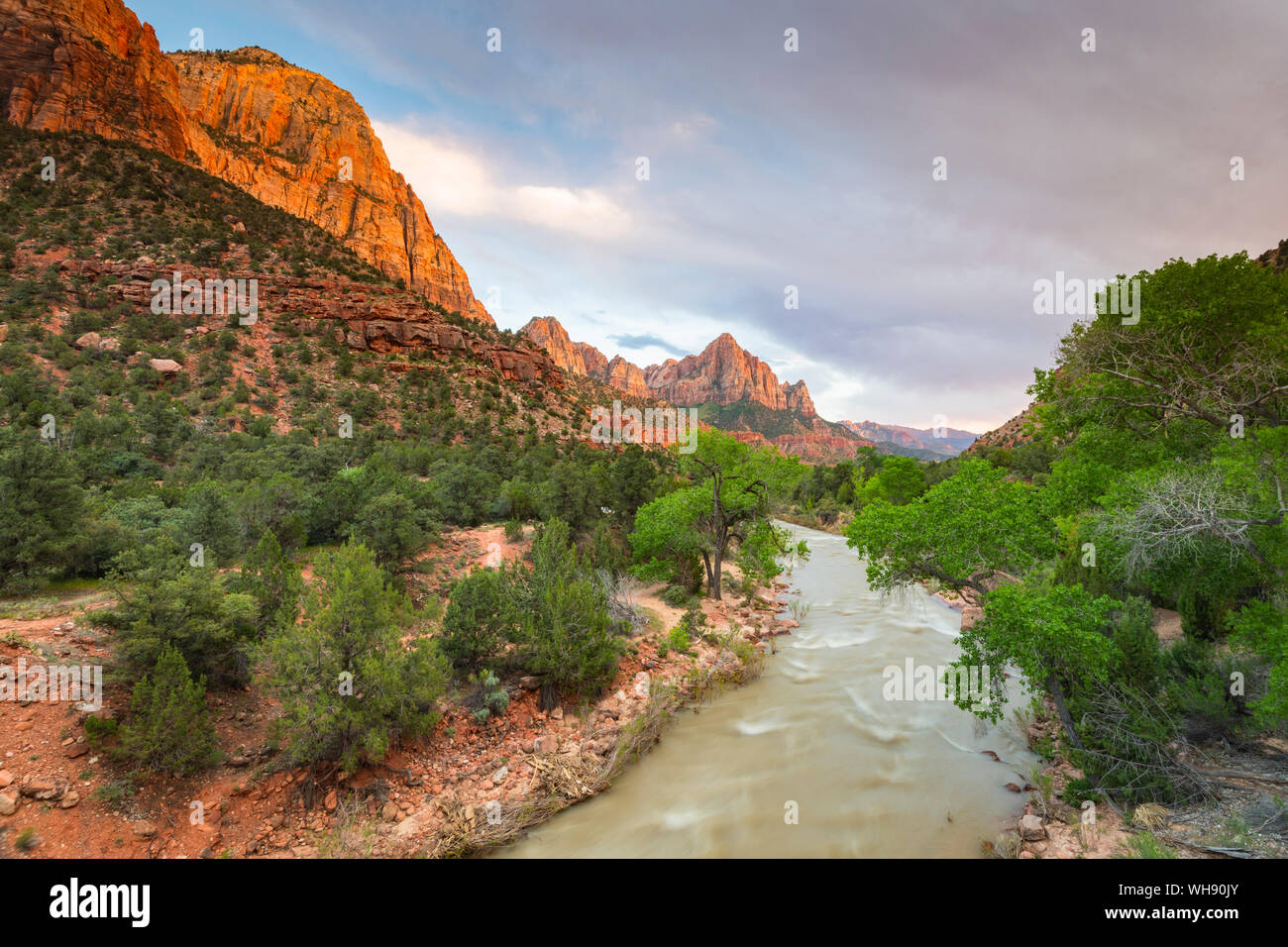 Visualizza in basso il fiume vergine per la sentinella, Parco Nazionale Zion, Utah, Stati Uniti d'America, America del Nord Foto Stock