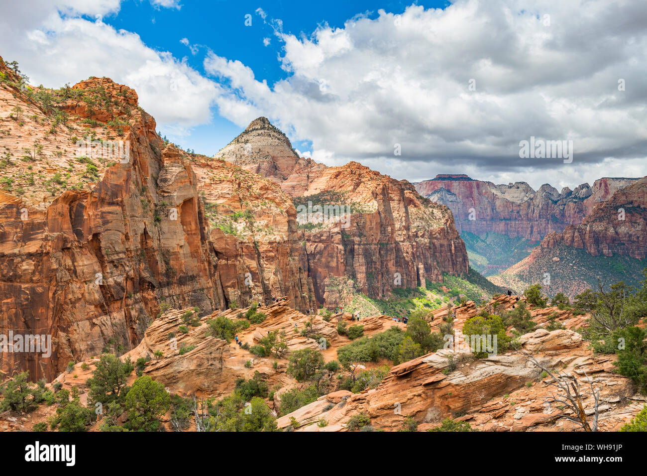 Canyon Overlook, Parco Nazionale Zion, Utah, Stati Uniti d'America, America del Nord Foto Stock