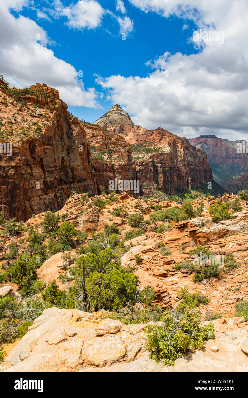 Canyon Overlook, Parco Nazionale Zion, Utah, Stati Uniti d'America, America del Nord Foto Stock