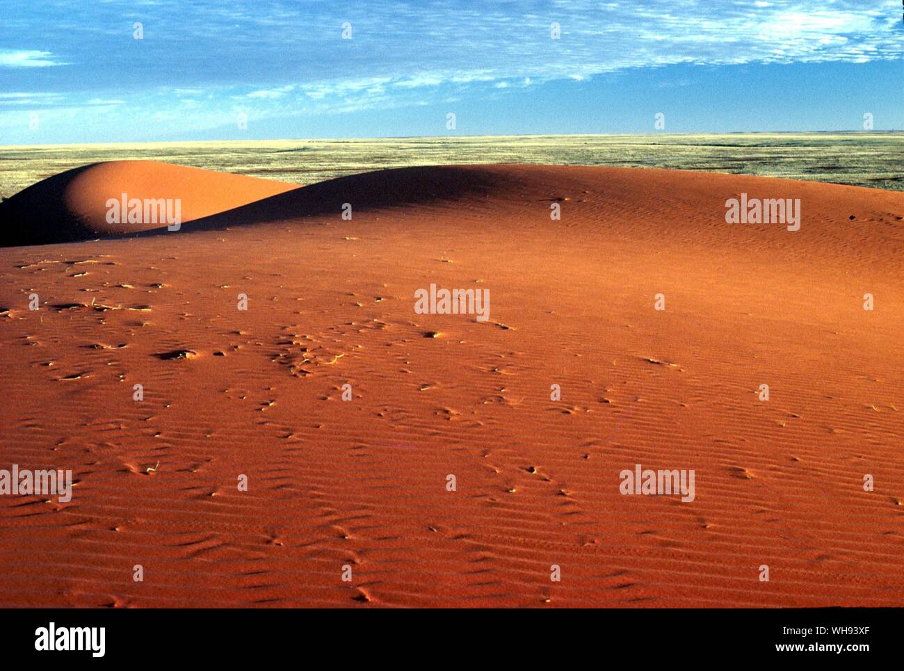 Le grandi dune di sabbia rossa del deserto Simpson Foto Stock