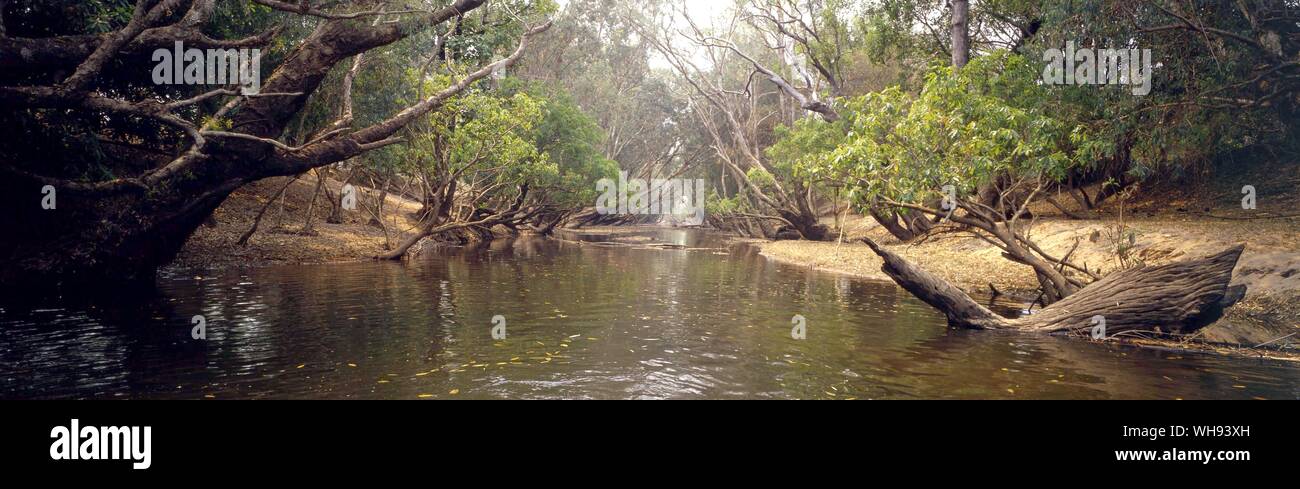 I flussi all'estremità nord Australia Foto Stock