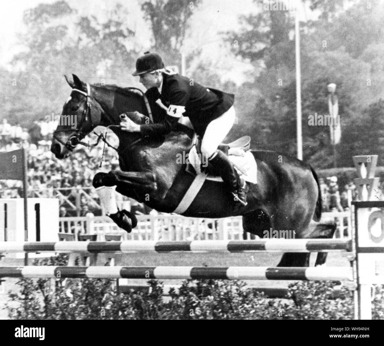 Città del Messico Olimpiadi 1968: Signorina Marion Coakes di Gran Bretagna prende un ostacolo sul suo monte, 'Stroller' nel turno preliminare della Olympic Grand Prix mostra-evento di salto nel Campo di Marte. Foto Stock