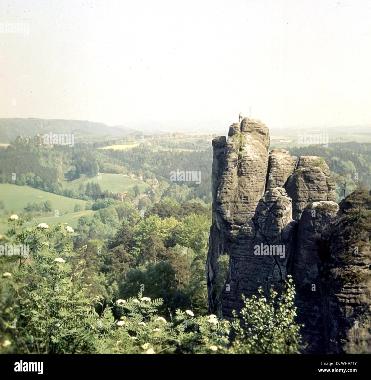 Svizzera sassone Foto Stock