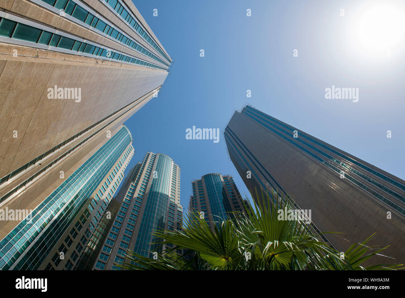 Skyward vista dei grattacieli, Abu Dhabi, Emirati Arabi Uniti, Medio Oriente Foto Stock